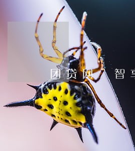 团贷网 智享计划 逾期 团贷网 智享计划 逾期